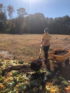 Man in field