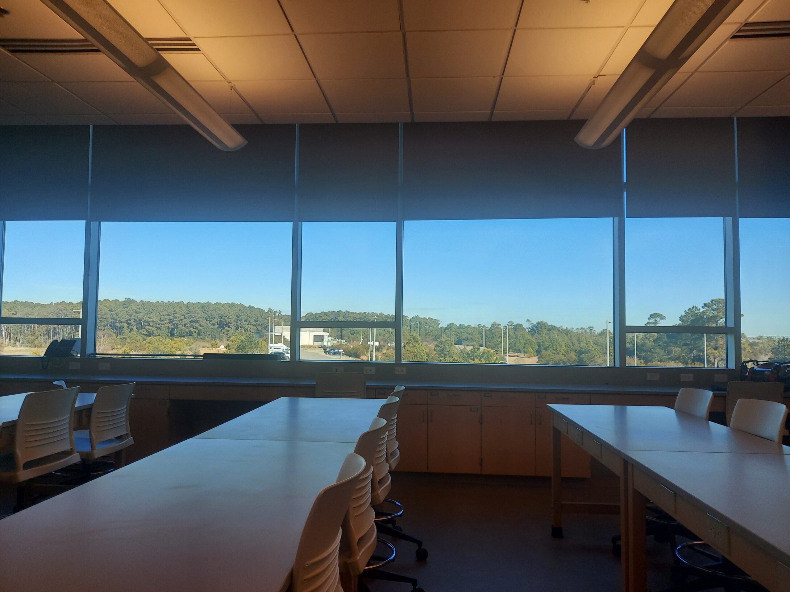 A classroom with large windows, letting in natural light and showing a view of trees and a beautiful blue sky