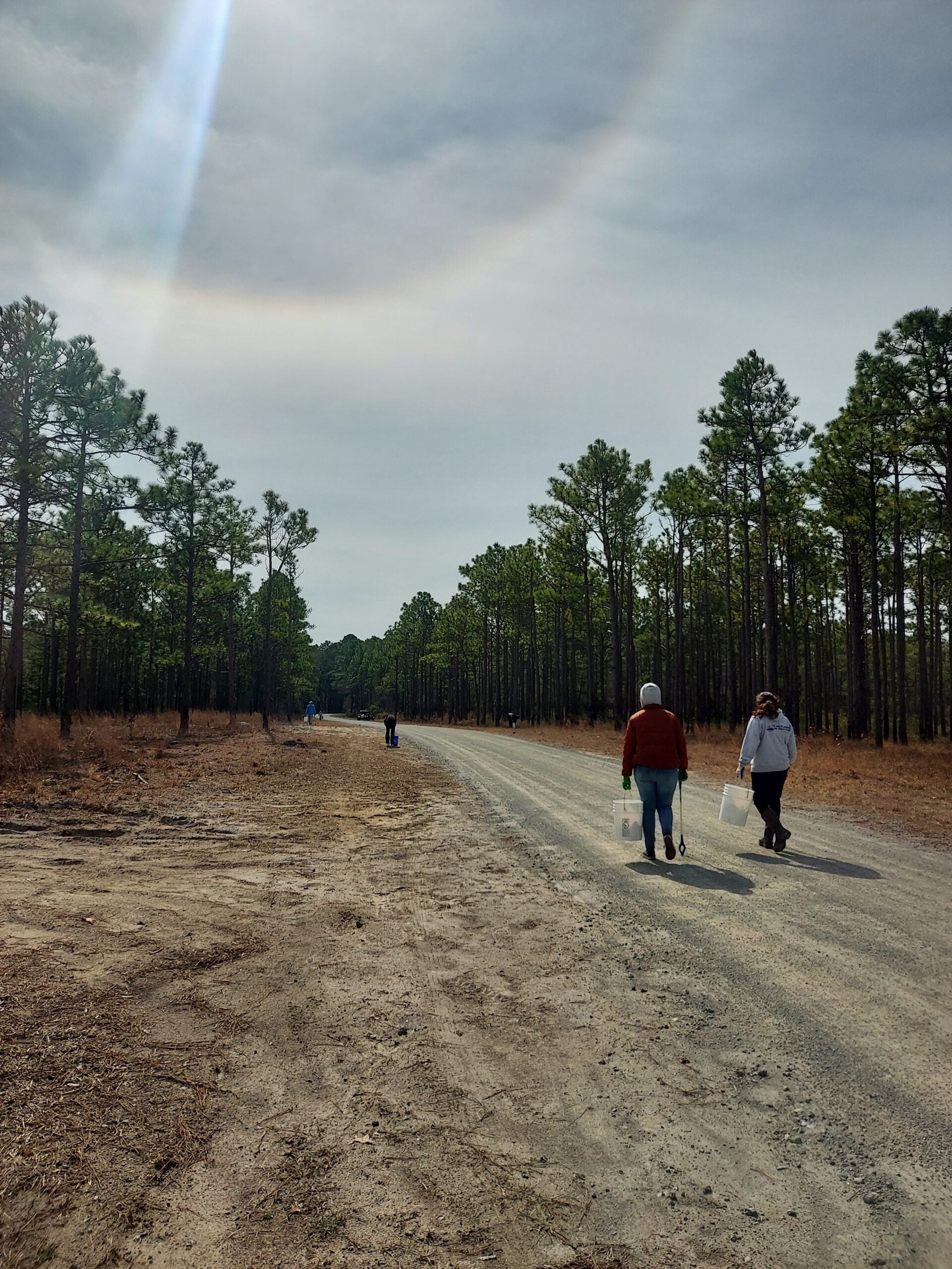 A picture of two people in the mid distance walking away on a gravel road carrying buckets and trash pickers