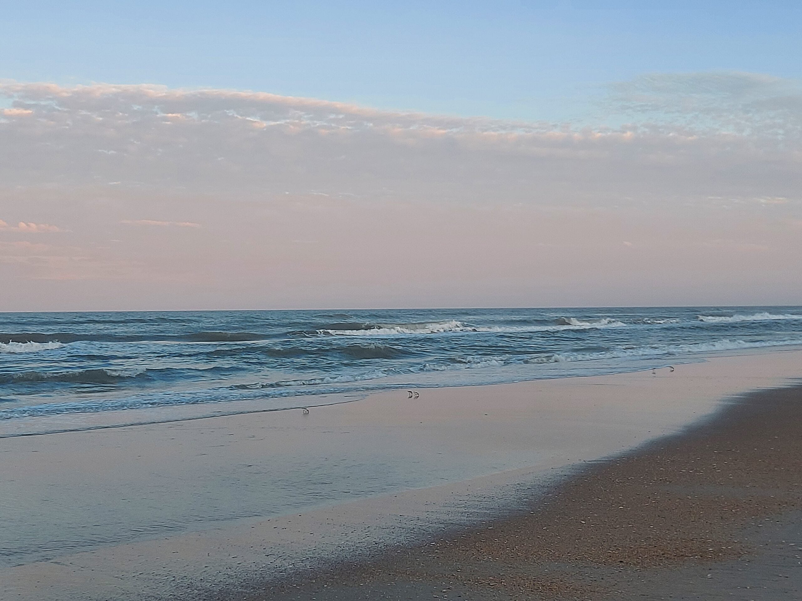 A beach with shorebirds and waves rolling in with crepuscular lighting