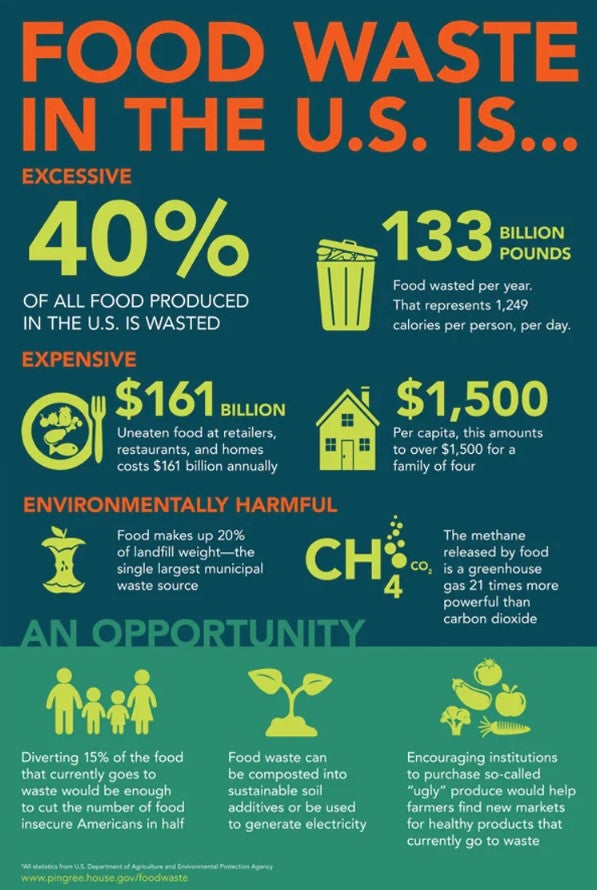 Food Waste in the U.S. infographics