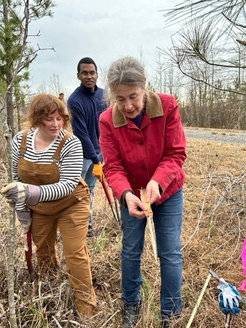 ECU Sustainability Manager, Chad Carwein, coordinated a trip to West Research Campus back in February for student volunteers to help clear a ditch where there are about two dozen Pitcher Plants growing