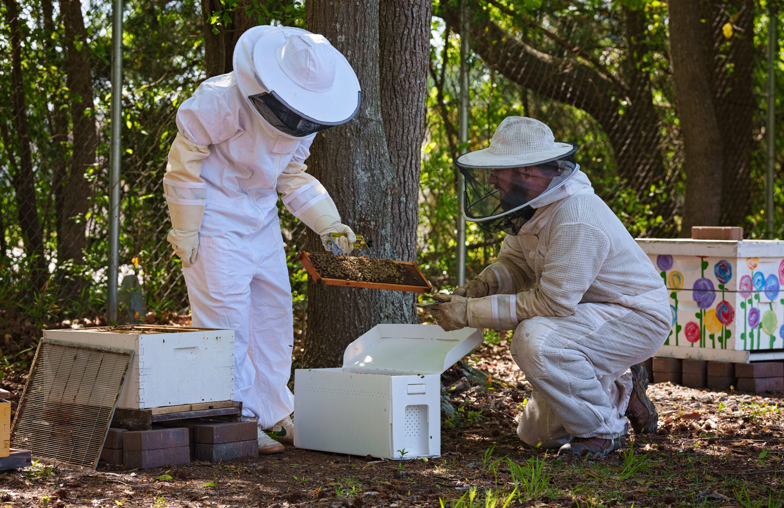 Sustainability Manager, Chad Carwein, assists a student with managing a beehive