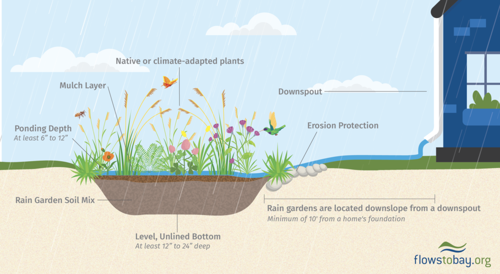 A graphic showing a constructed rain garden including a level, unlined bottom at least 12 to 24 inches deep filled with 6 to 12 inches of rain garden soil mix (leaving 6 to 12 inches for water to pool), a mulch layer, native plants, erosion protection (such as stones). Rain gardens should be located downslope of a downspout.