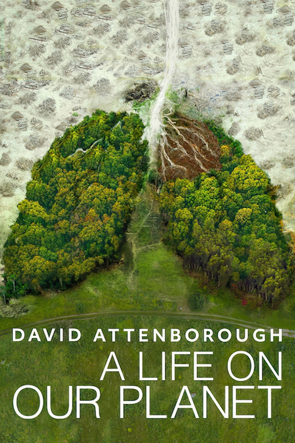 The movie poster for David Attenborough's A Life on Our Planet with a river delta photographed from above