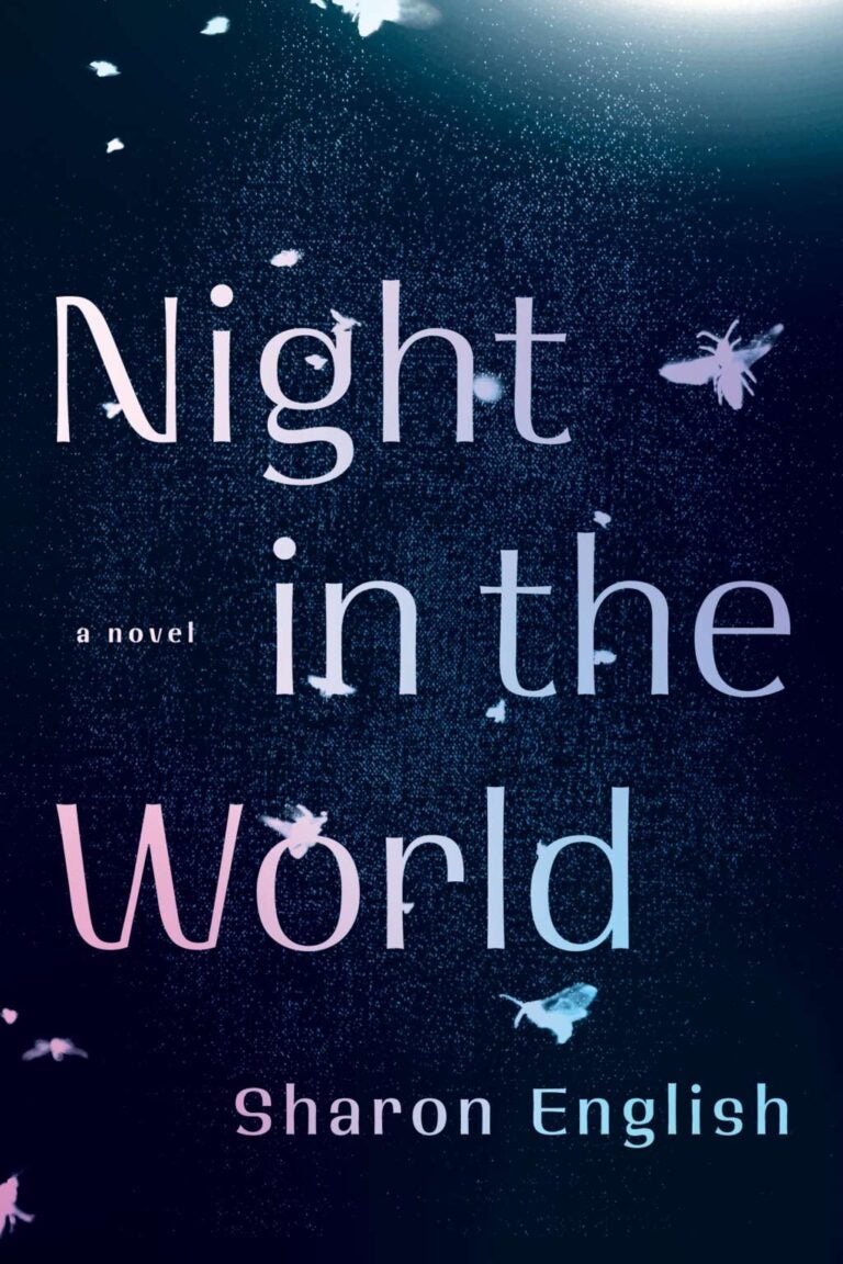 Cover of Night in the World by Sharon English