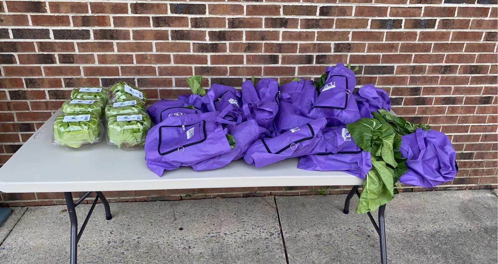 Purple backpacks on a table