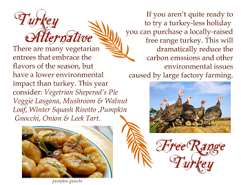 Turkey Alternative