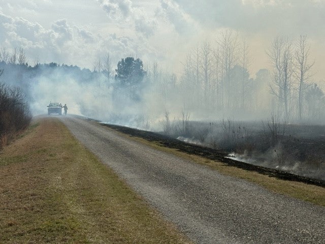 Smoke crossing the road