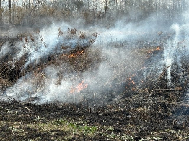 Controlled burn