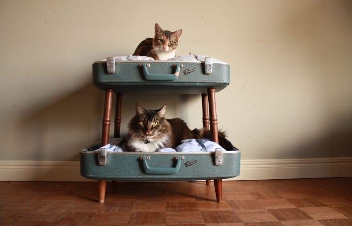 Two cats laying in an upcycled old suitcase made into a cat bunkbed 