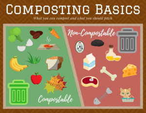 Composting Basics: What you can compost and what you should pitch. Fruit, vegetables, egg shells, coffee, bread, pizza boxes, and leaves are compostable. Meat, bones, dairy, oil, cat litter, and produce labels are trash.