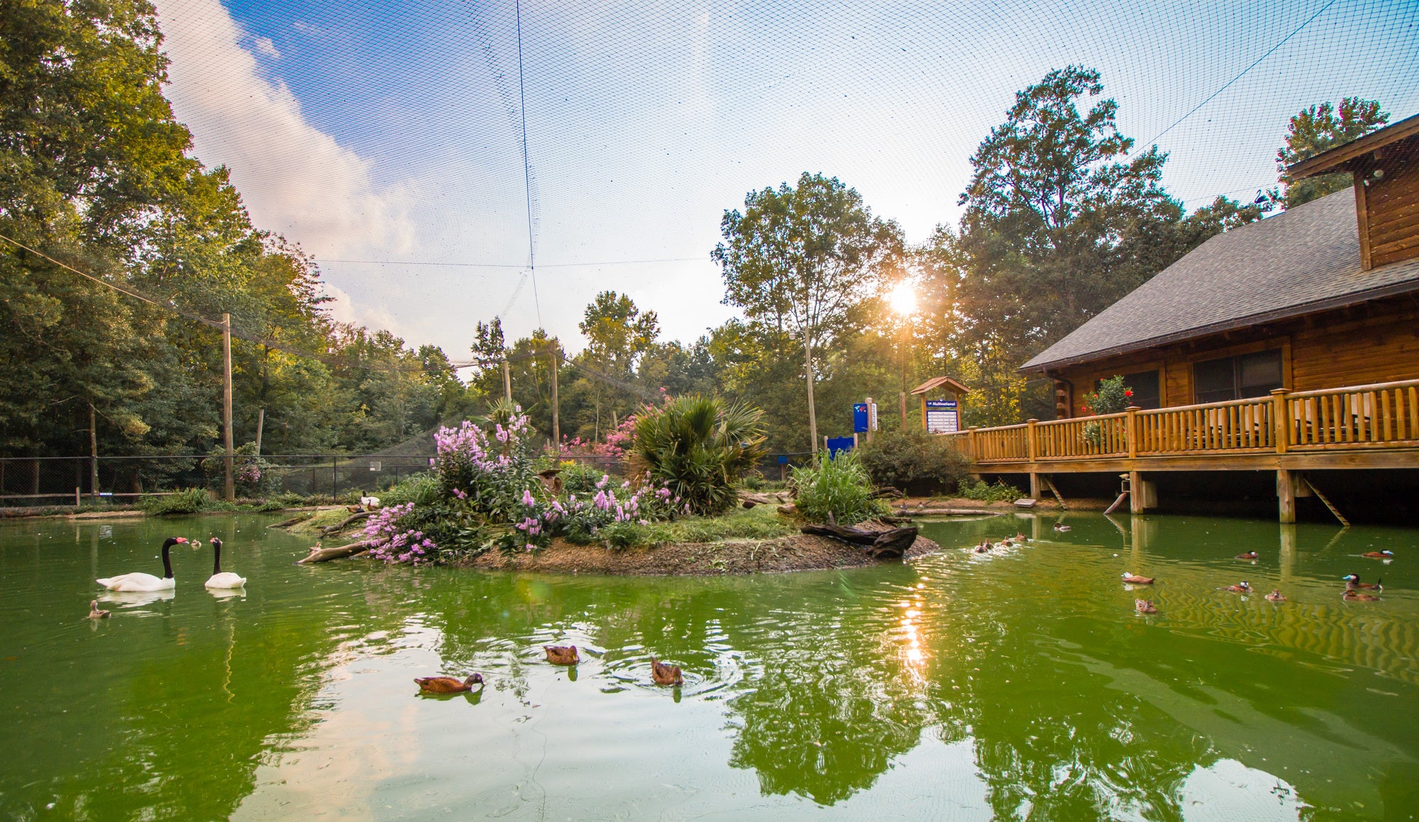 Sylvan Heights Bird Park